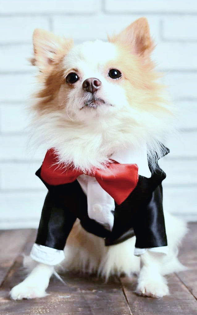 Traditional Black Tuxedo
