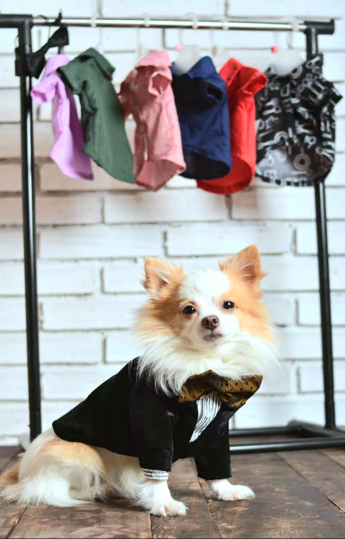 Black Velvet Tuxedo