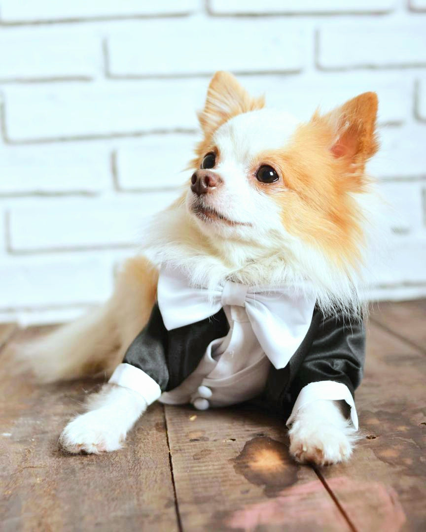 Tailcoat Suit - Black