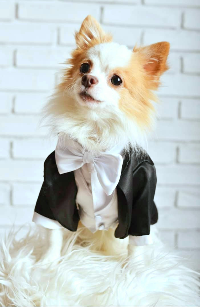 Tailcoat Suit - Black