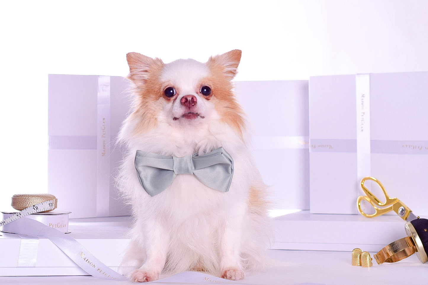 Luxury Dog Bowtie