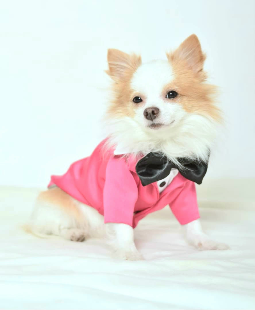 Creative Fuchsia Tuxedo