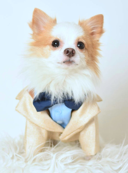 Cream Gold Tuxedo