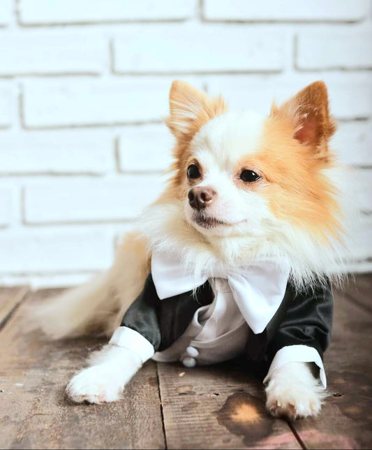 Tailcoat Suit - Black