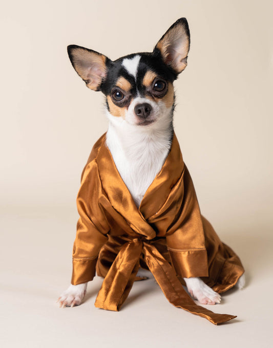 Luxury Dog Bathrobe