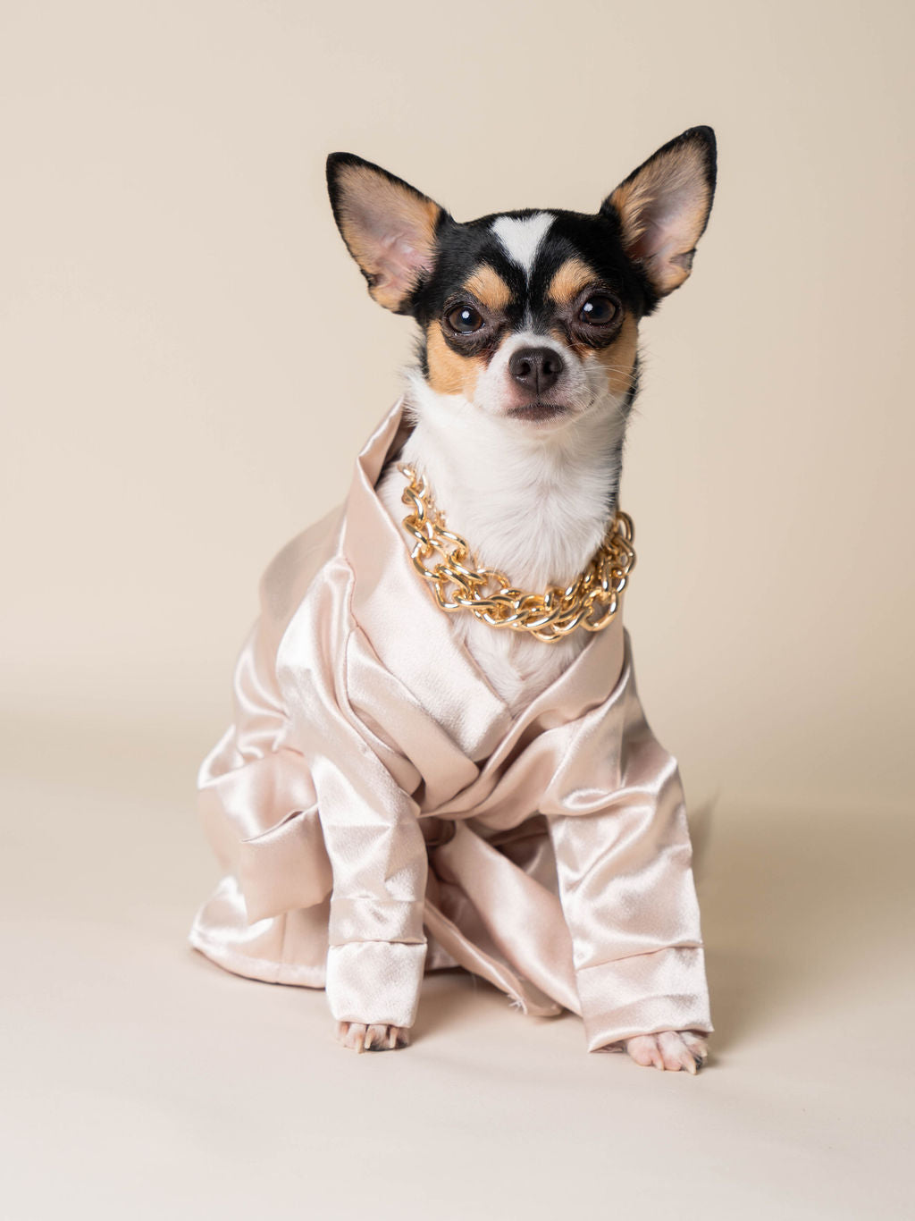 Luxury Dog Bathrobe